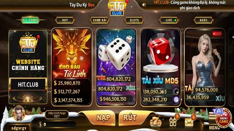 không vay tiền cá cược
