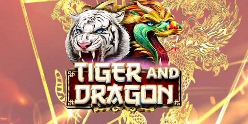 Rồng hổ Hit Club